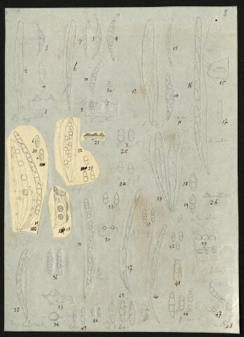 Anteprima dell'oggetto