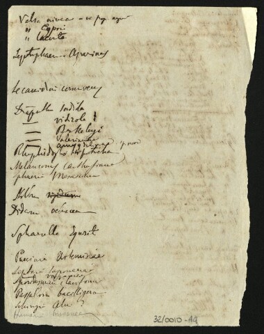 Anteprima dell'oggetto