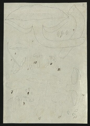 Anteprima dell'oggetto