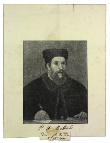 Anteprima dell'oggetto