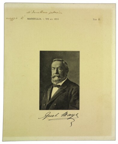 Anteprima dell'oggetto