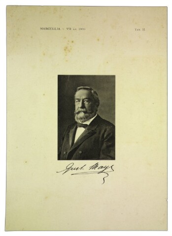 Anteprima dell'oggetto