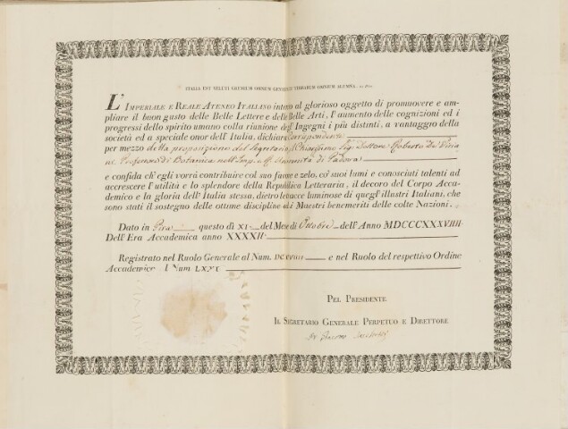 Anteprima dell'oggetto