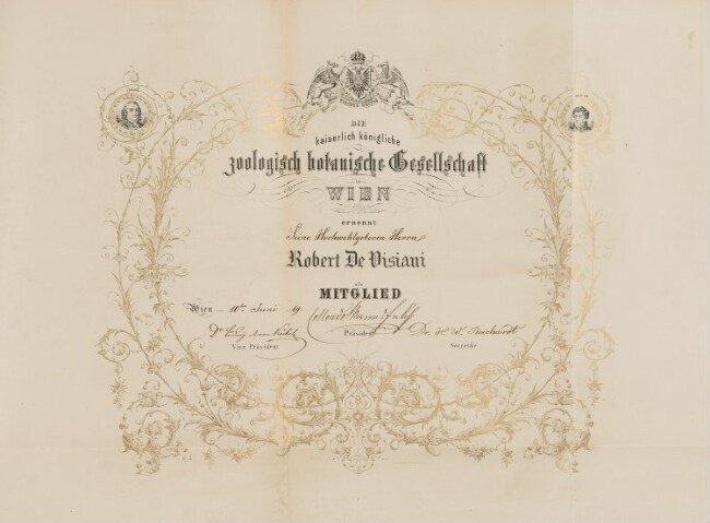 Anteprima dell'oggetto