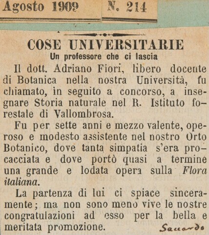 Anteprima dell'oggetto