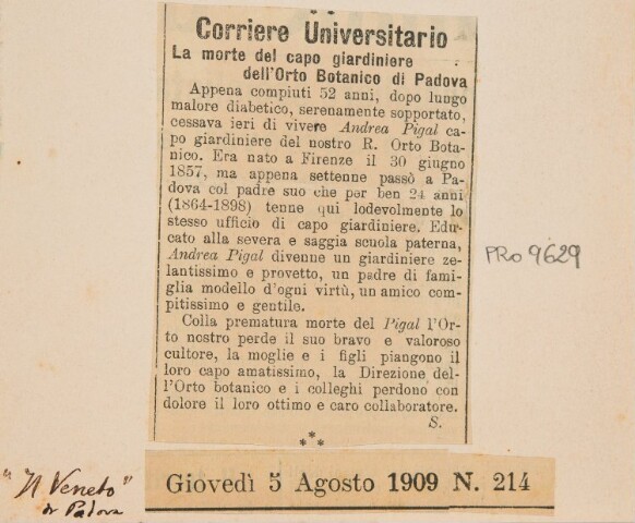 Anteprima dell'oggetto