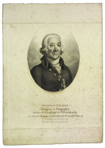 Anteprima dell'oggetto