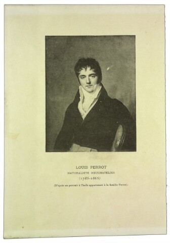 Anteprima dell'oggetto