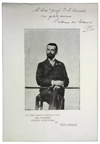 Anteprima dell'oggetto