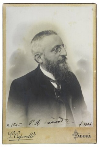 Anteprima dell'oggetto