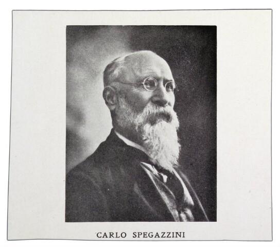 Anteprima dell'oggetto