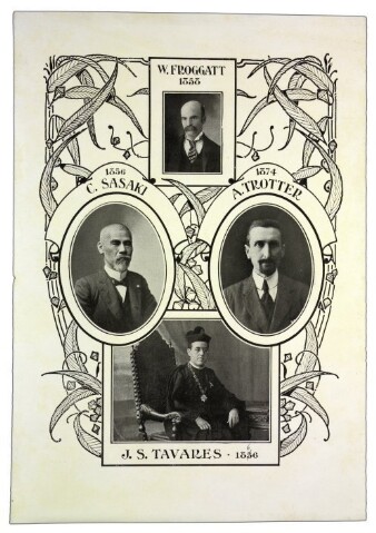 Anteprima dell'oggetto