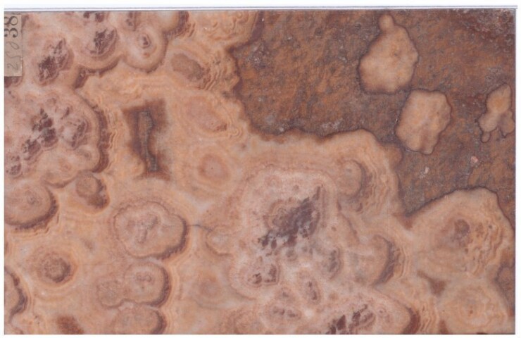 Anteprima dell'oggetto