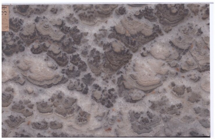 Anteprima dell'oggetto