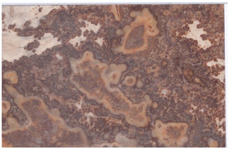 Anteprima dell'oggetto