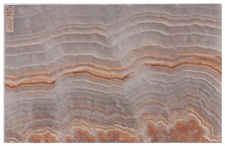 Anteprima dell'oggetto