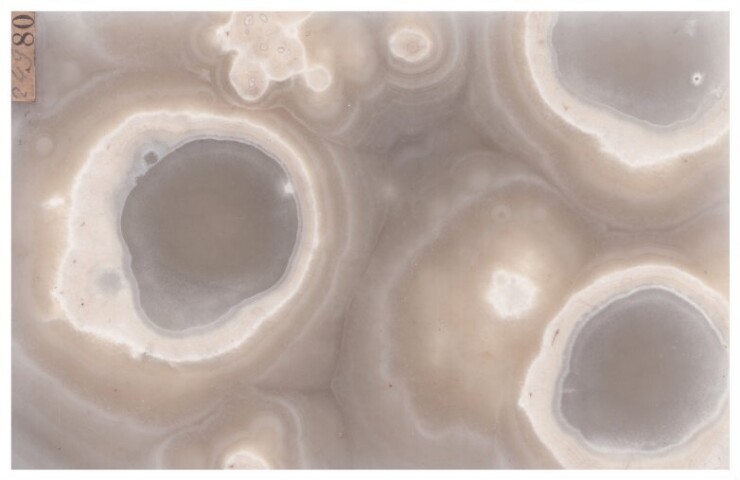 Anteprima dell'oggetto