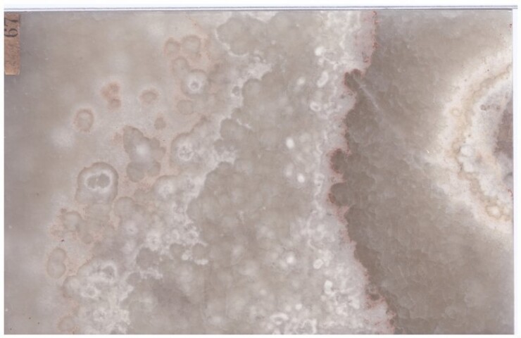 Anteprima dell'oggetto