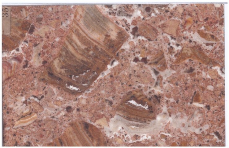 Anteprima dell'oggetto