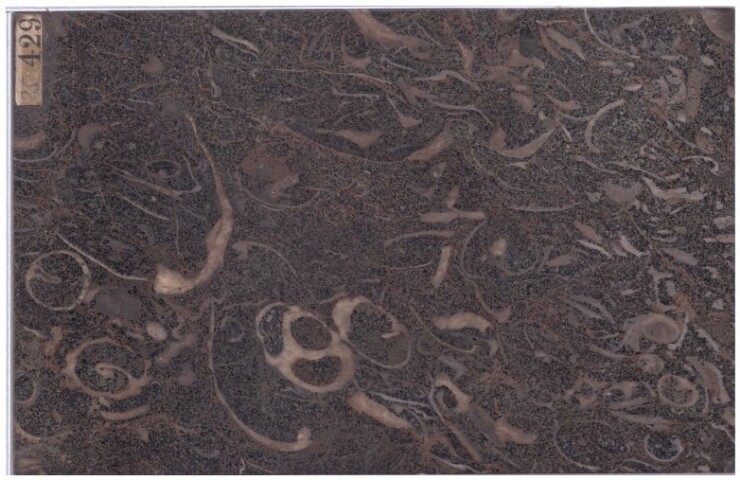 Anteprima dell'oggetto