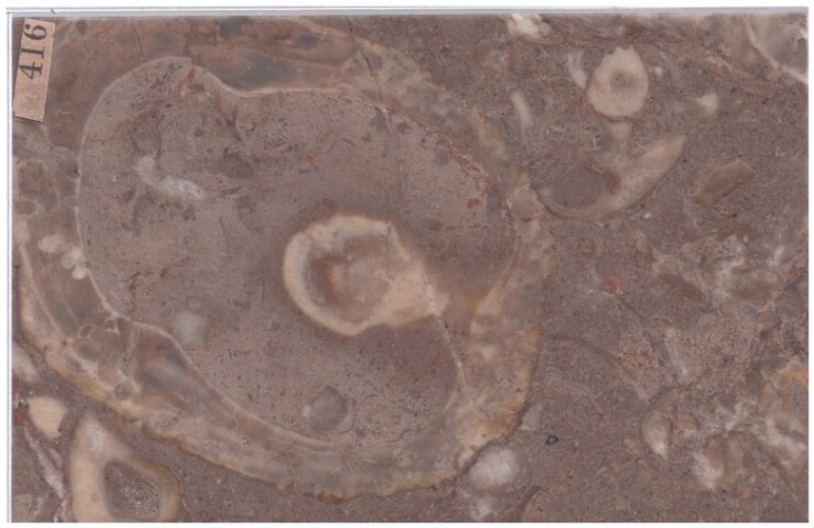 Anteprima dell'oggetto