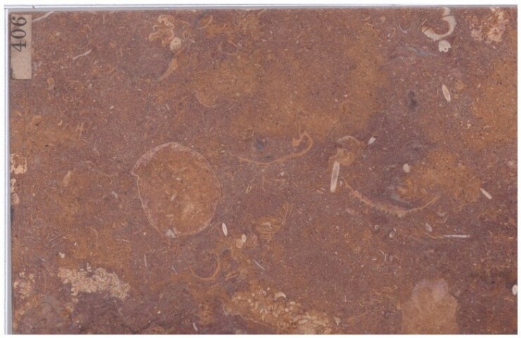 Anteprima dell'oggetto