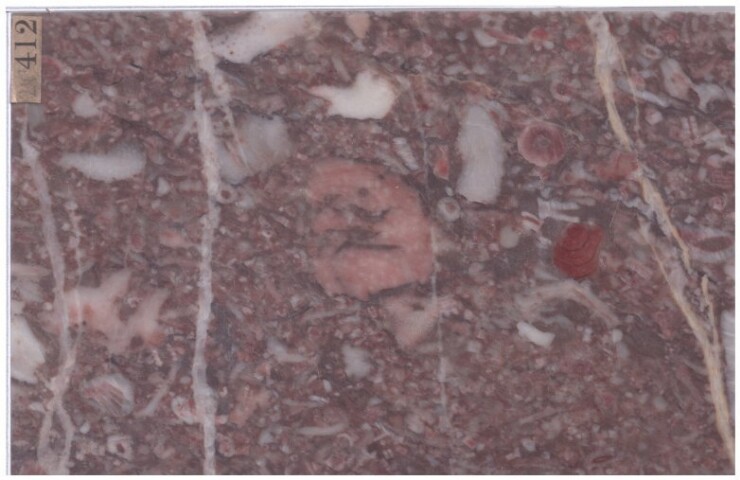 Anteprima dell'oggetto