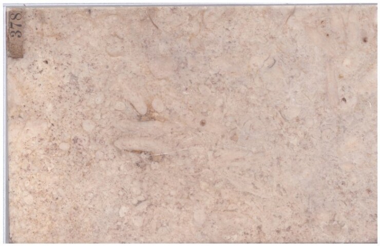 Anteprima dell'oggetto