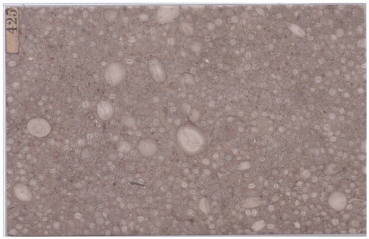 Anteprima dell'oggetto