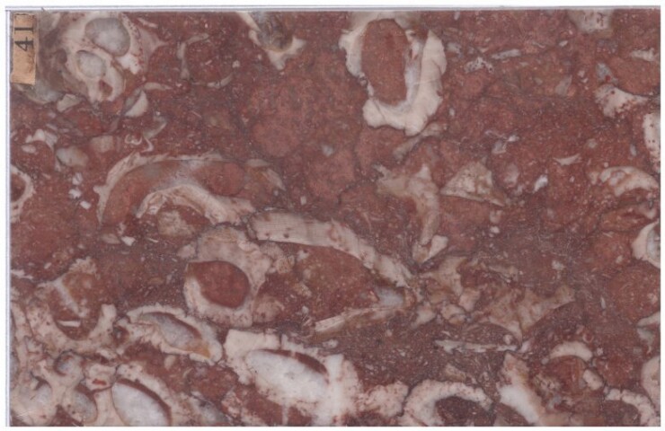 Anteprima dell'oggetto