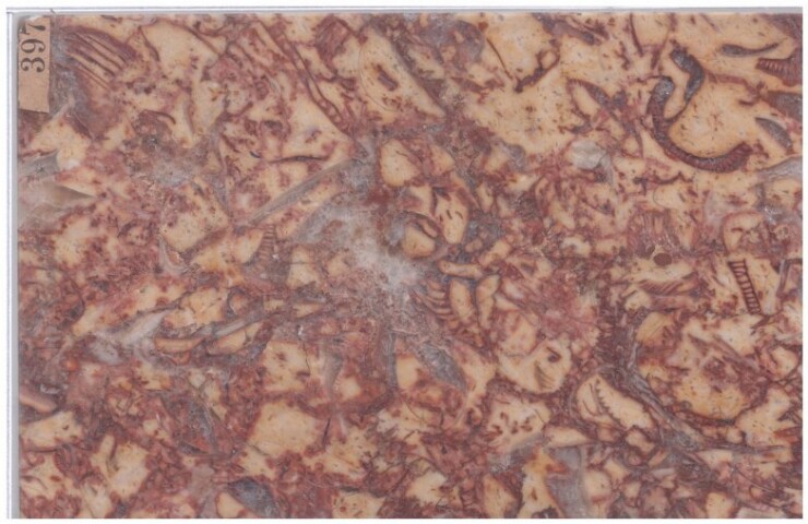 Anteprima dell'oggetto