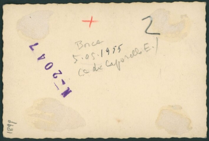 Anteprima dell'oggetto