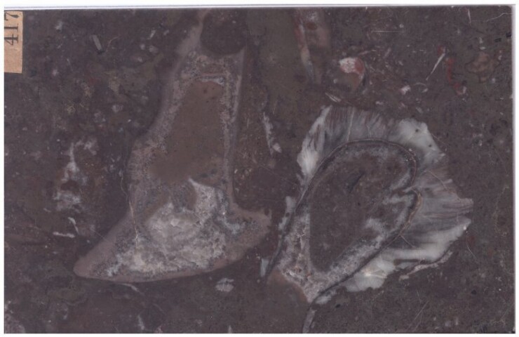 Anteprima dell'oggetto