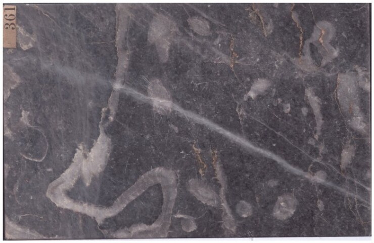 Anteprima dell'oggetto