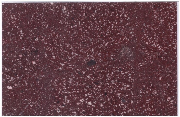 Anteprima dell'oggetto