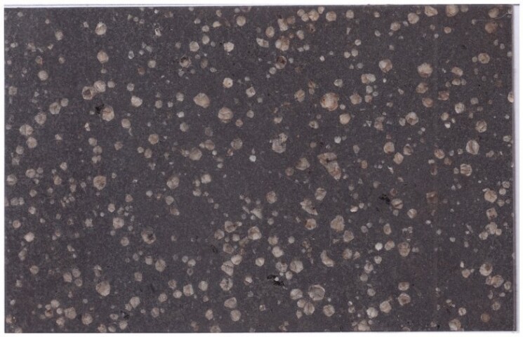 Anteprima dell'oggetto