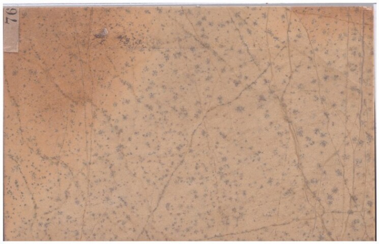 Anteprima dell'oggetto