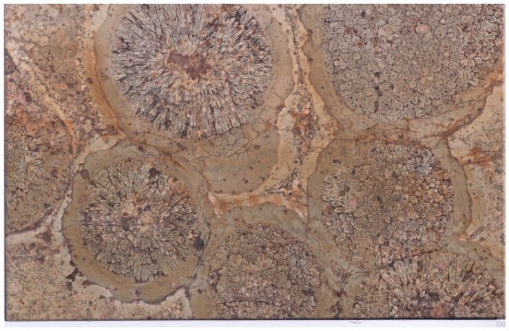 Anteprima dell'oggetto