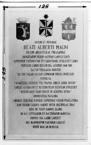 Anteprima dell'oggetto