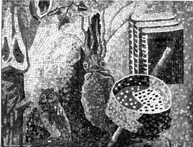 Anteprima dell'oggetto