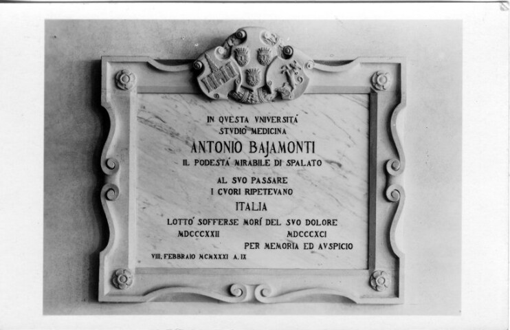 Anteprima dell'oggetto