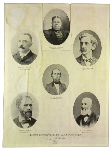 Anteprima dell'oggetto