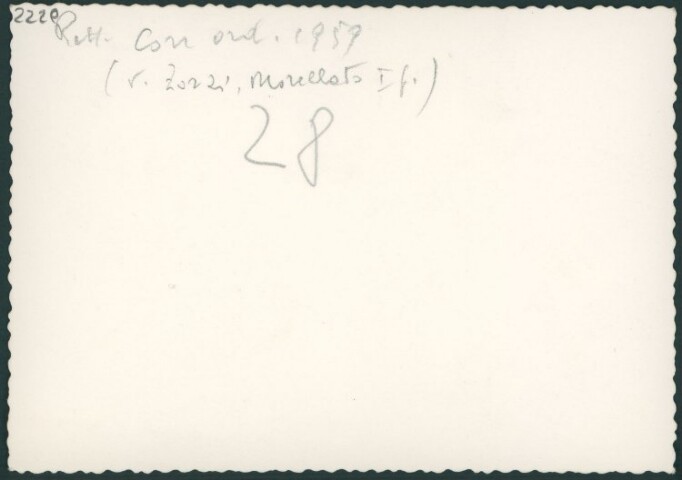 Anteprima dell'oggetto