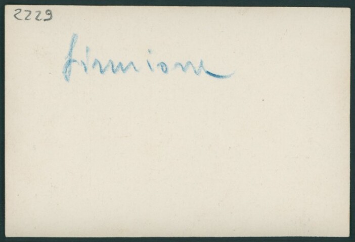 Anteprima dell'oggetto