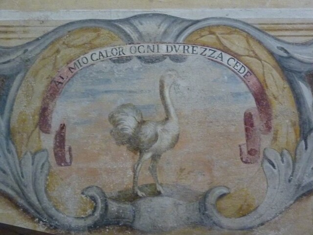 Anteprima dell'oggetto