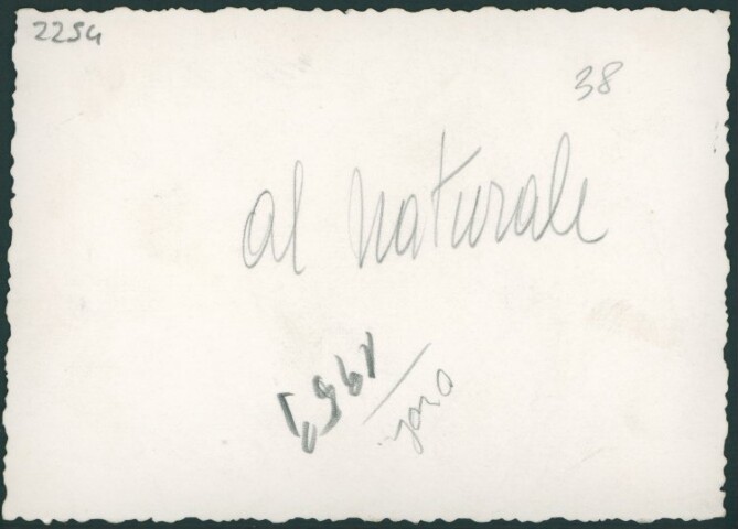 Anteprima dell'oggetto