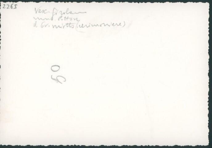 Anteprima dell'oggetto