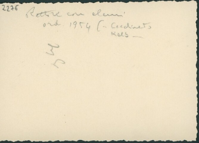 Anteprima dell'oggetto