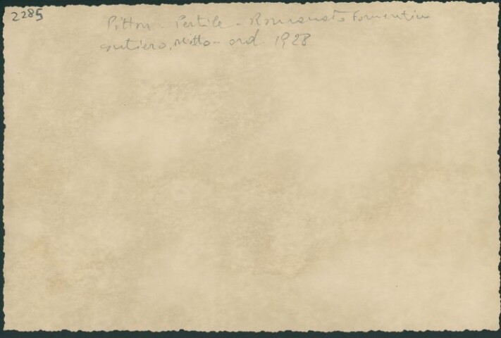 Anteprima dell'oggetto