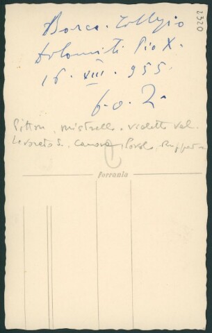 Anteprima dell'oggetto